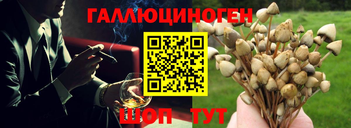 Галлюциногенные грибы прущие грибы  Вход с VPN  Протвино 